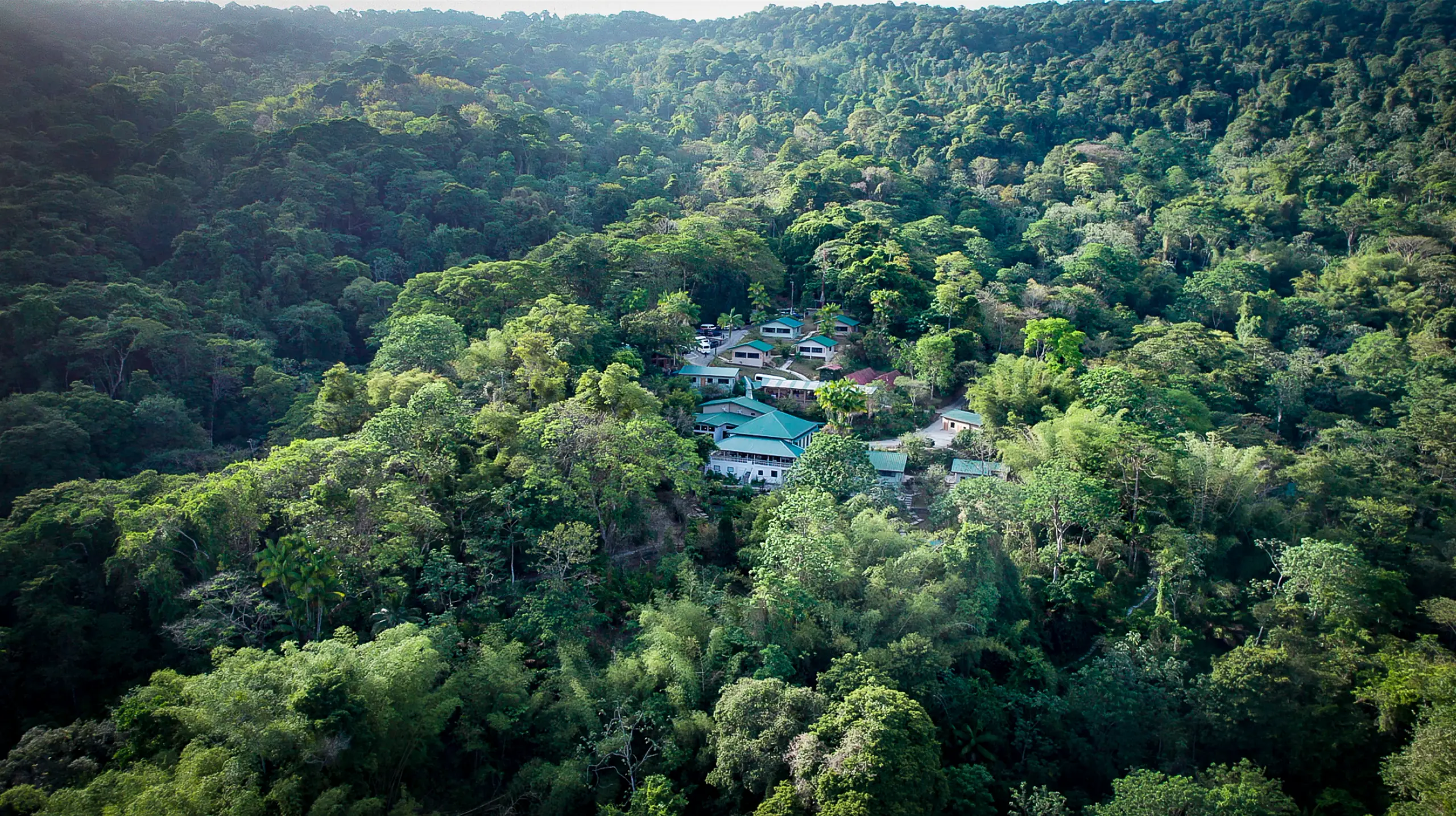 Aerial view of the rainforest at Hadco Experiences at Asa Wright Nature Centre