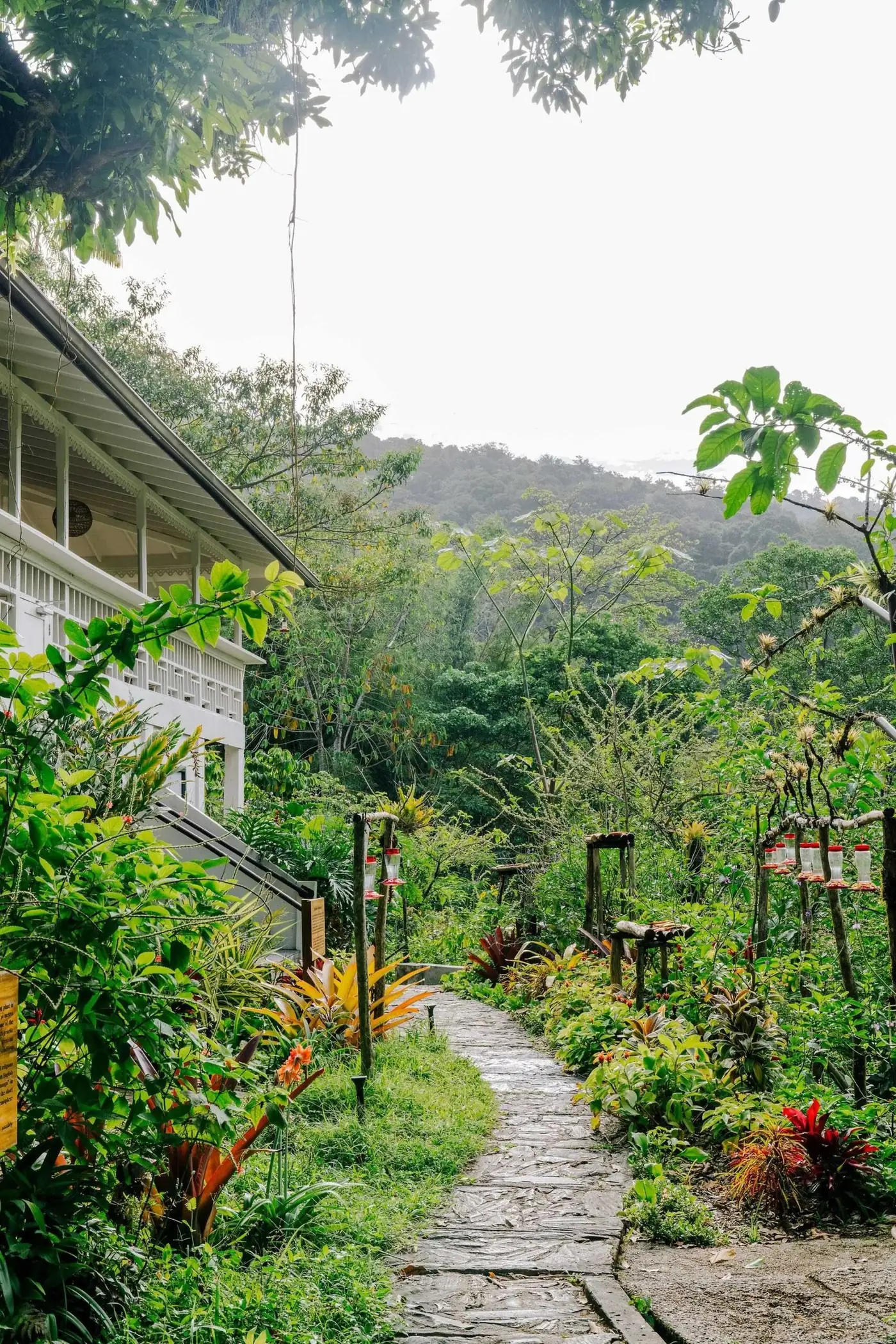 Garden path winding past the lodge toward the forested hills