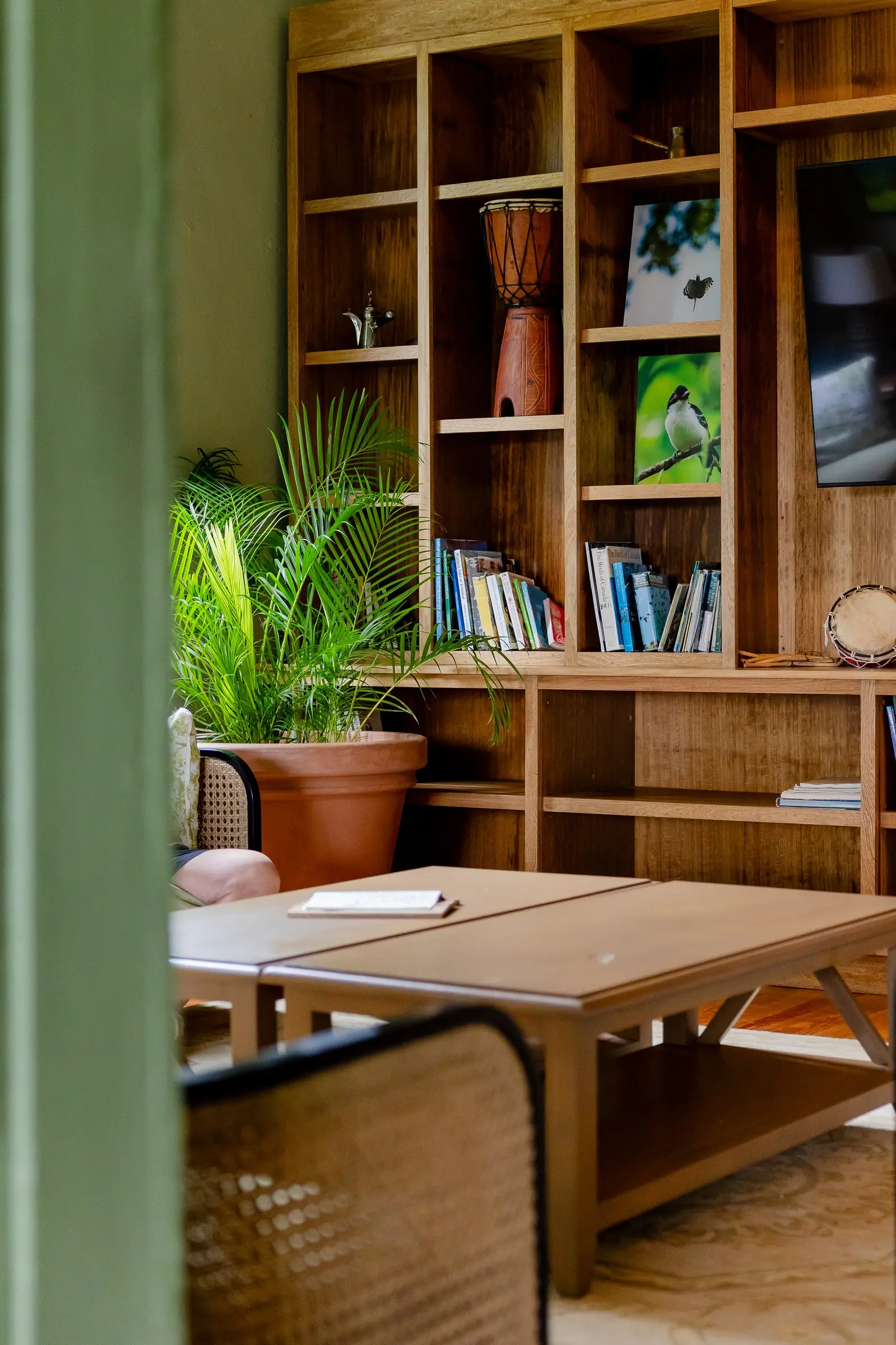Sunlit lounge corner with bookshelves, drums, and a potted palm