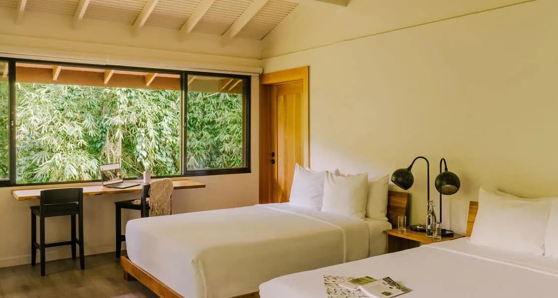 Bright bedroom with two beds overlooking bamboo through a wide window